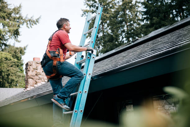 Best Roof Moss and Algae Removal  in Sturgis, KY